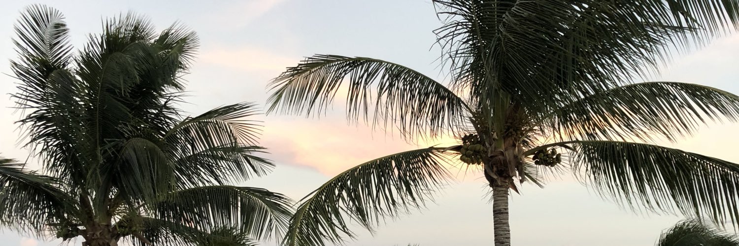 KatieCollie's profile banner image