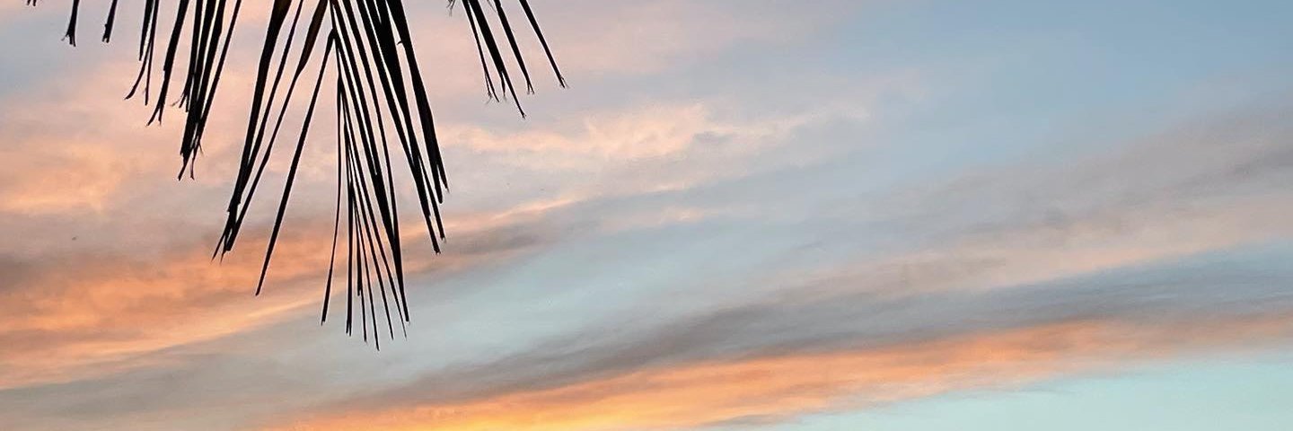 hannahhlne's profile banner image