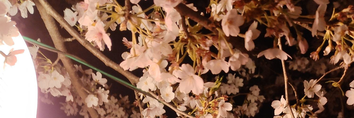 cotonoha40's profile banner image