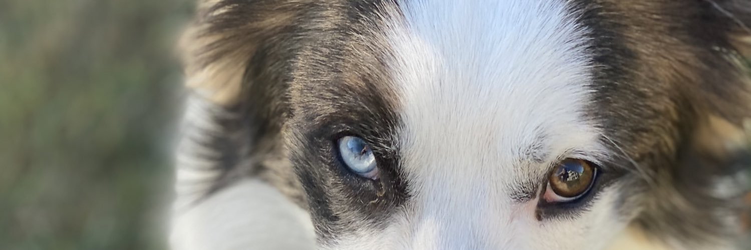 madelynwatters2's profile banner image