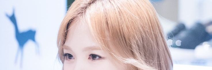 wendrdvt's profile banner image