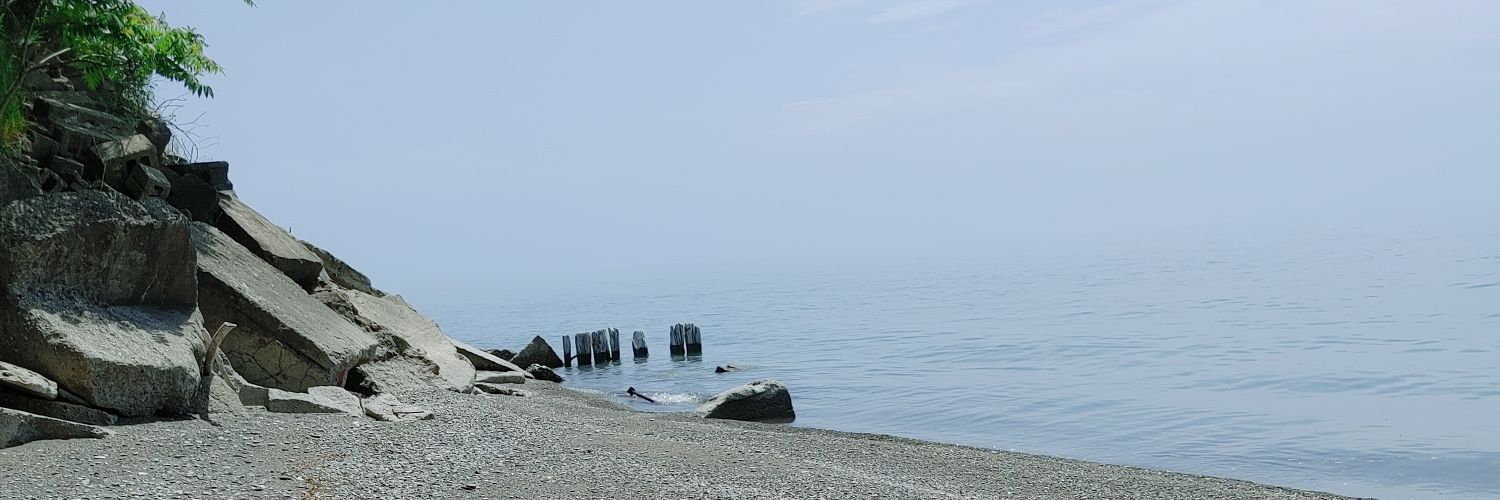 Renée Cormier banner