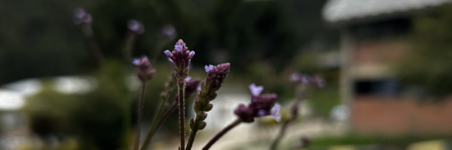 _mar21__'s profile banner image