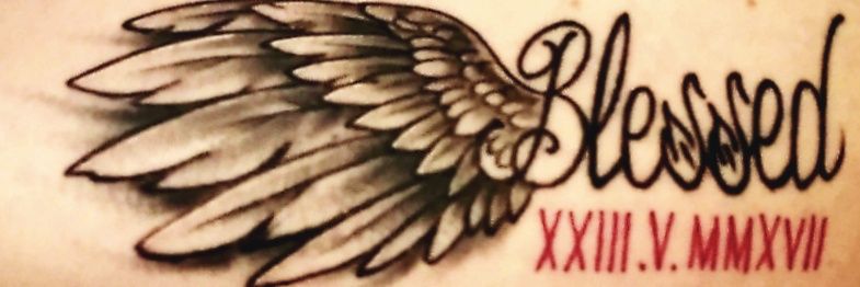 SwansFlyHigh's profile banner image