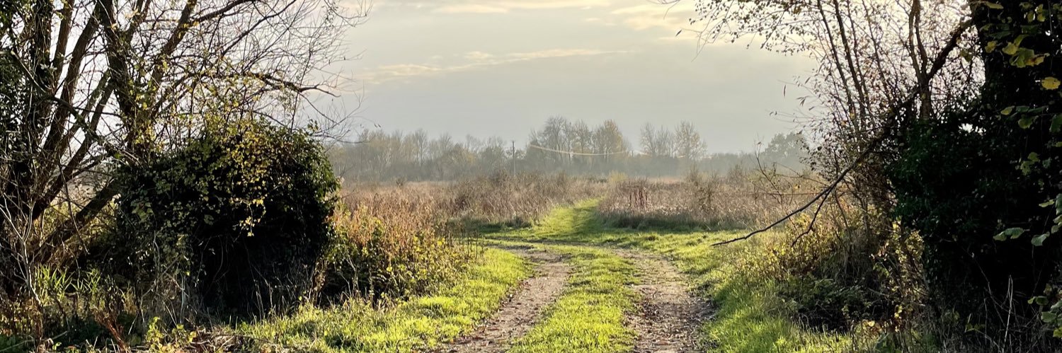WallerInTheWild's profile banner image
