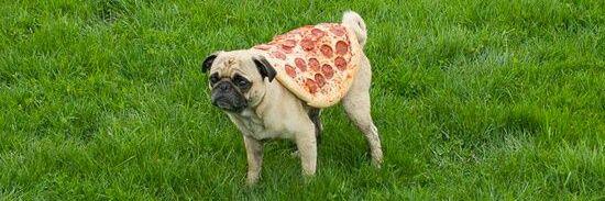 Doc Garden's dank-ass alternate history facts banner