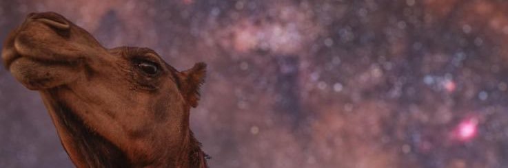 Yush banner