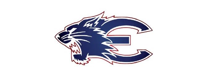 Randall Taylor, MSA banner