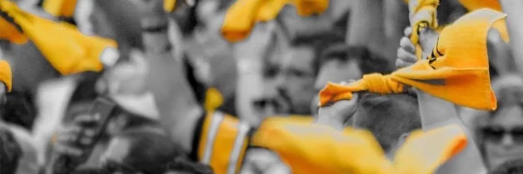 Ferny🇲🇽 banner