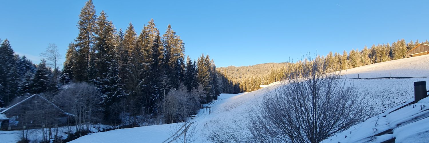 RGoepel's profile banner image