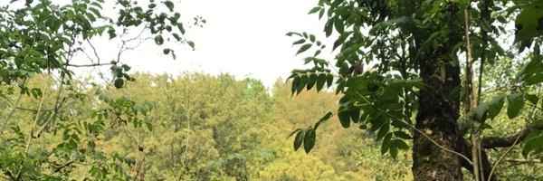 DorteGyrd Profile Banner