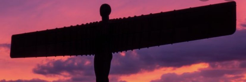 zoexlouise's profile banner image