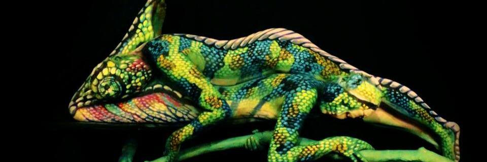 Oligarchy_1's profile banner image
