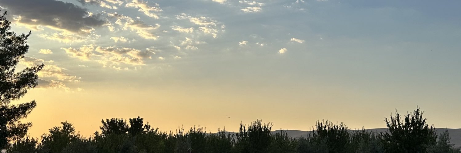 Gülistan SATIŞ banner