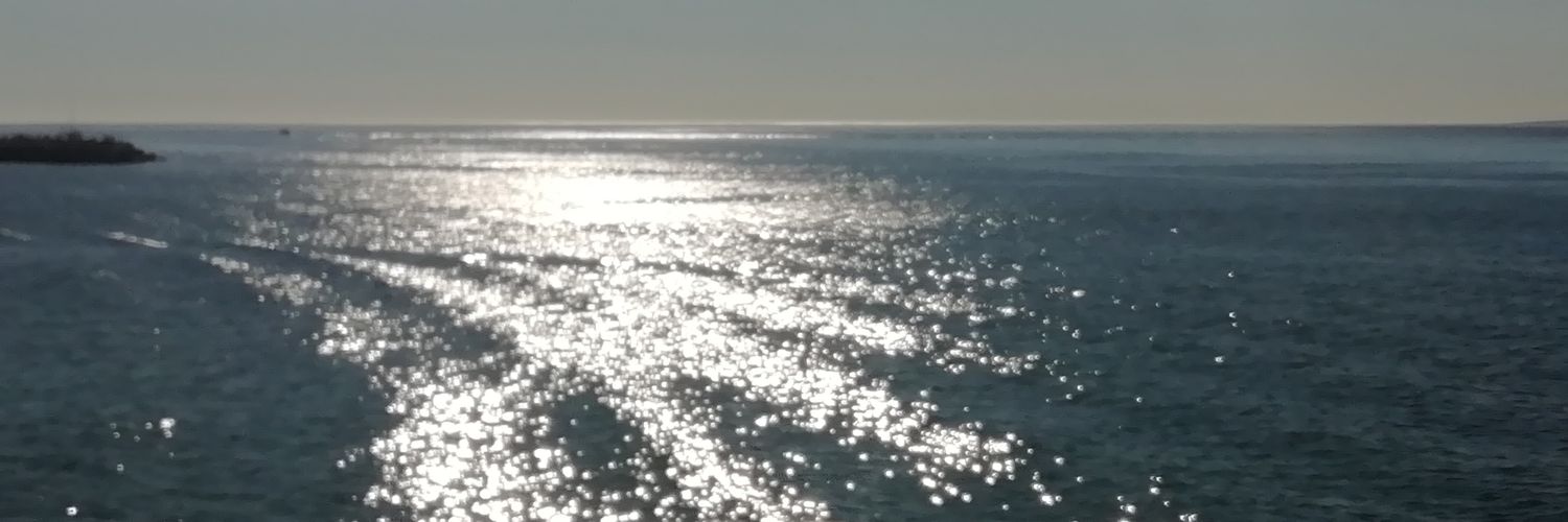 SteviBoy79's profile banner image