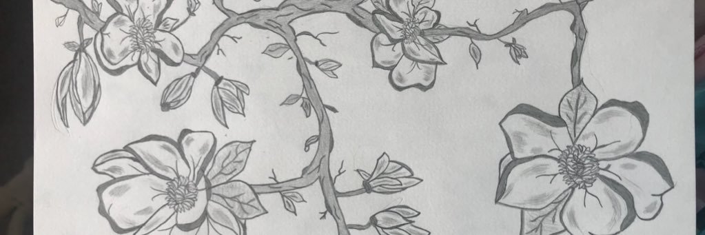 suzansiny's profile banner image