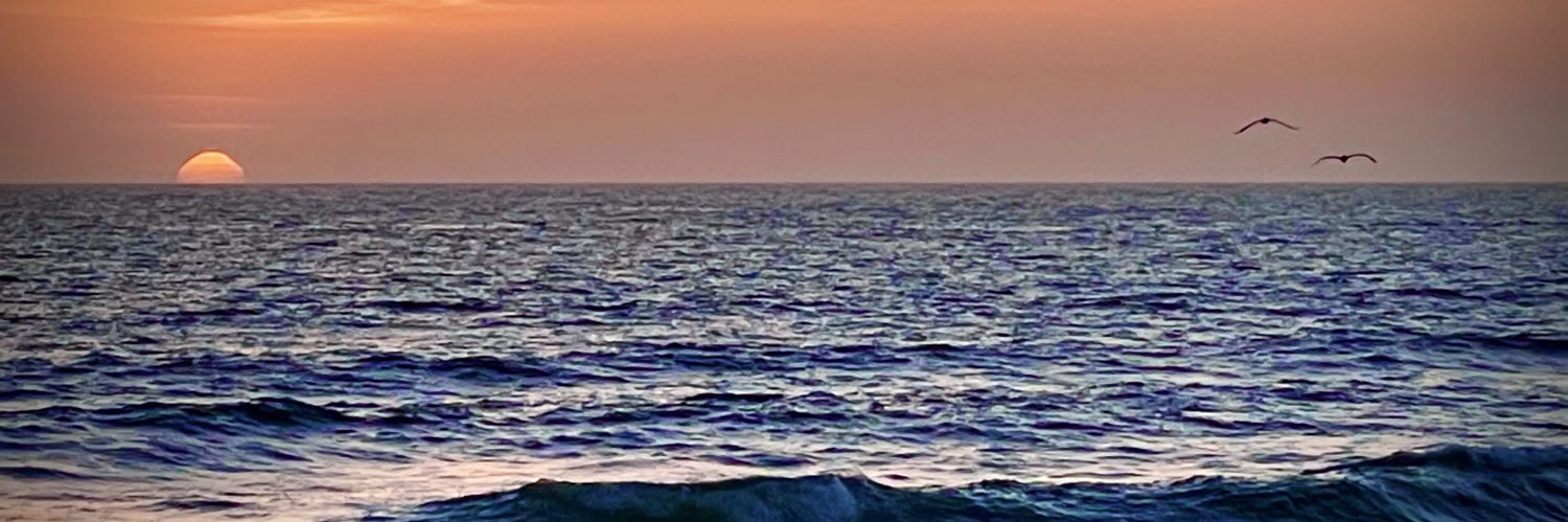 DomRausch's profile banner image