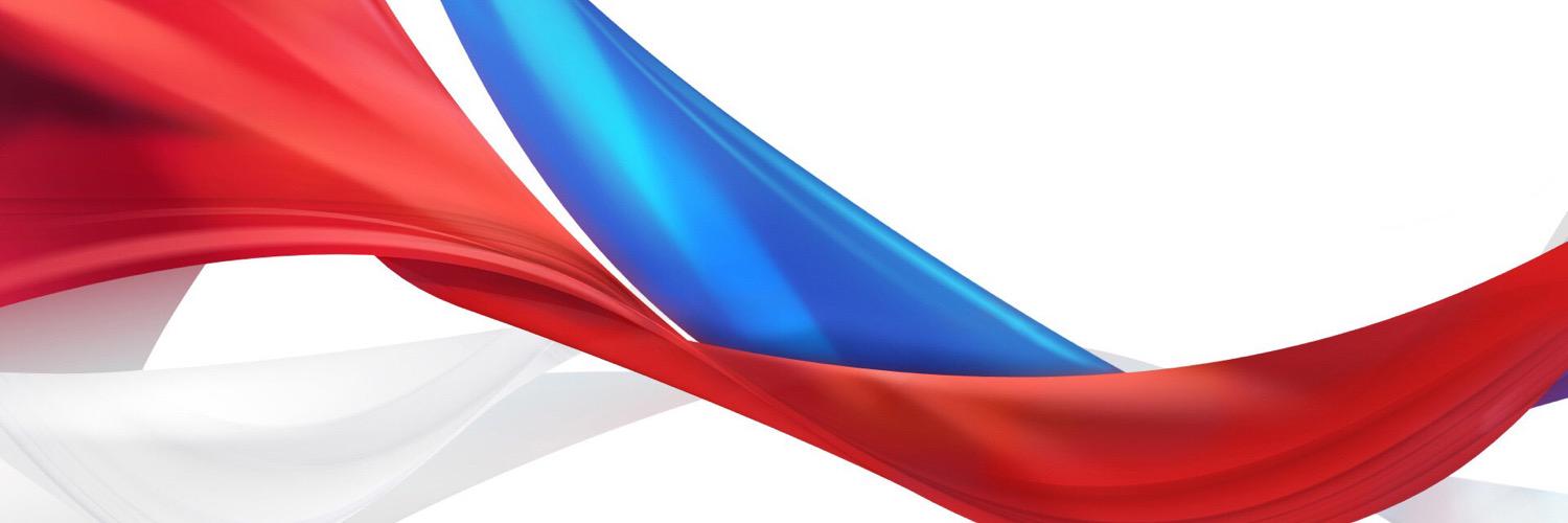 ZDragunkina's profile banner image