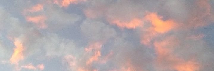 sararodriguez27's profile banner image