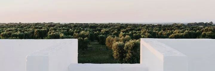 jano_castro's profile banner image
