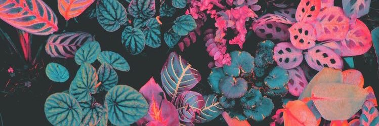 _savroserichman's profile banner image
