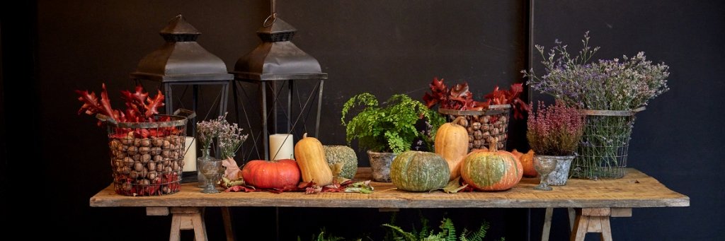 Restaurante Filandón banner