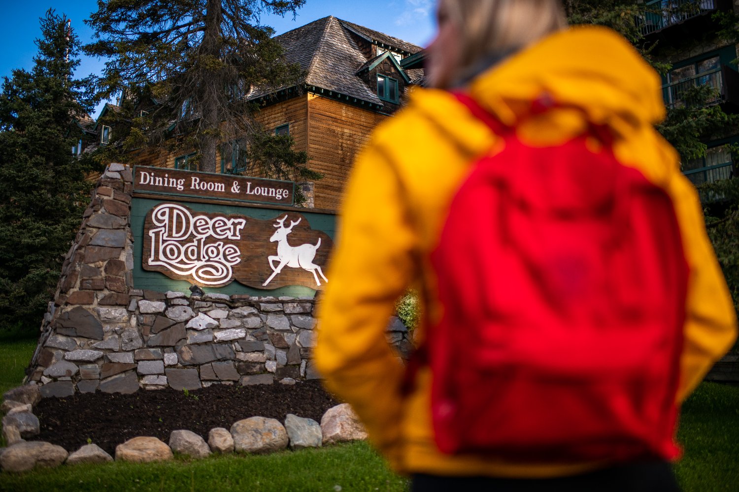 DeerLodge__LL's profile banner image