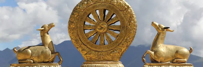 dharmaflix's profile banner image