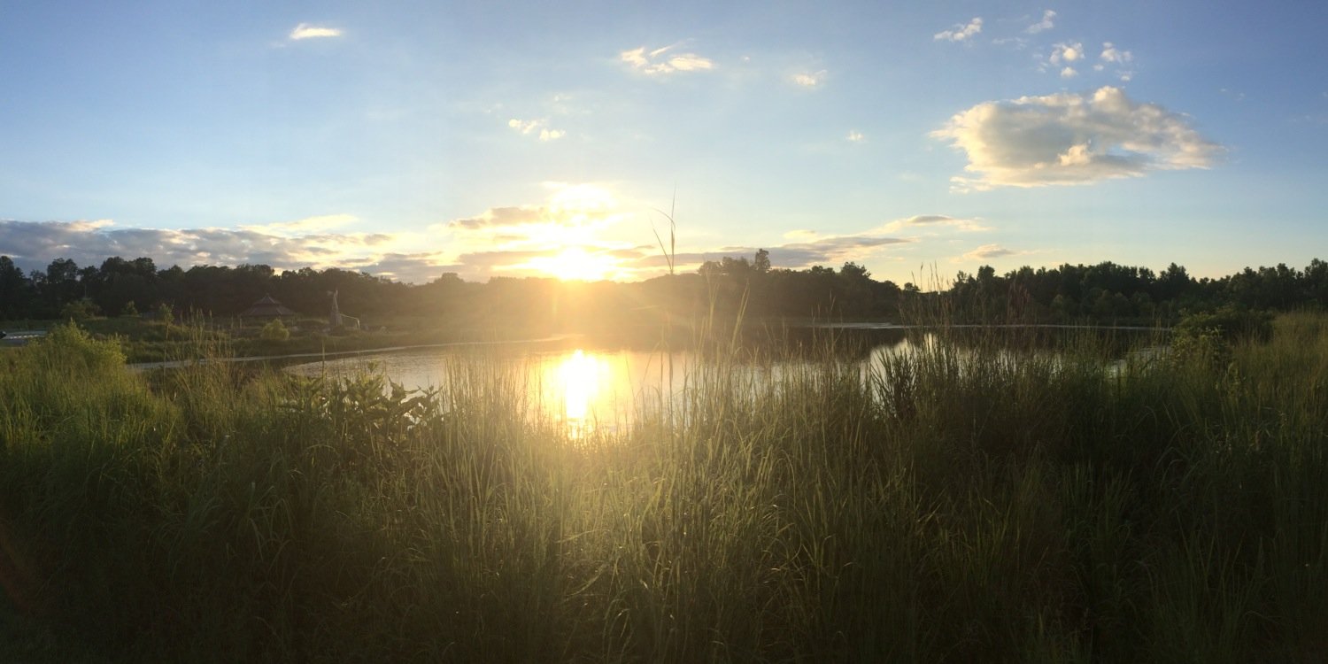iAnthonyDom's profile banner image