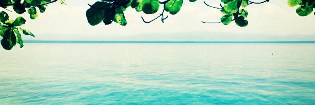 BagiFranchese's profile banner image