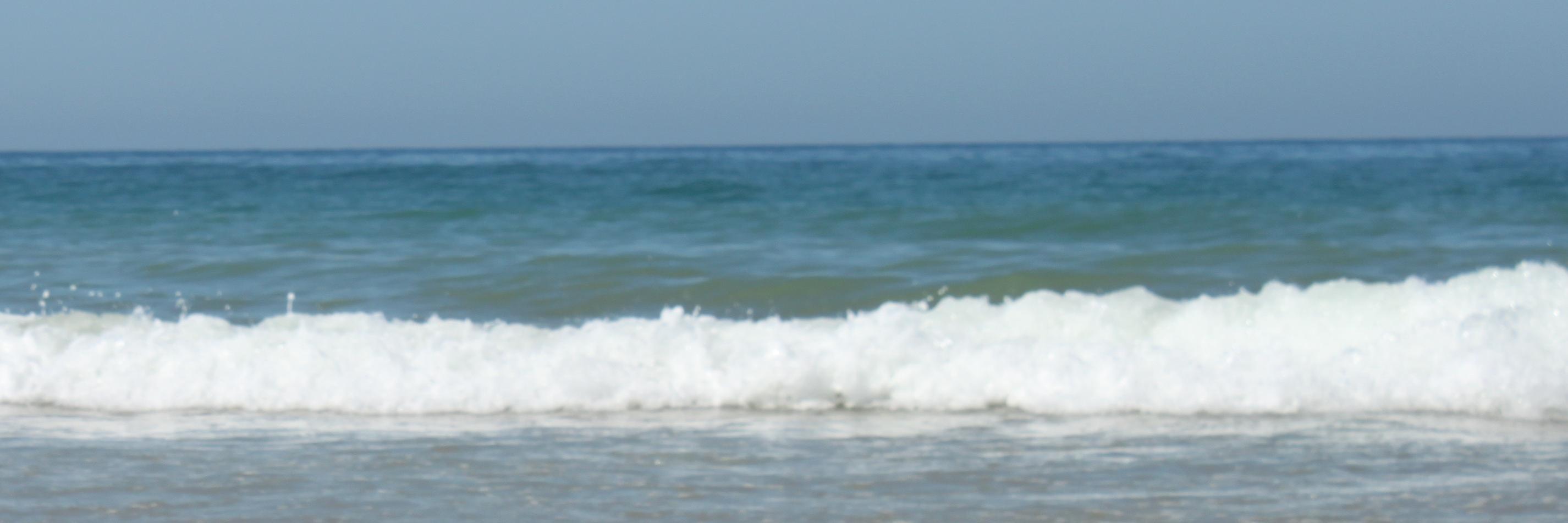mjlazm's profile banner image