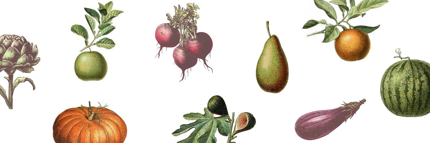 EatFitSA's profile banner image