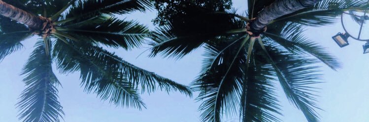 pote1030's profile banner image