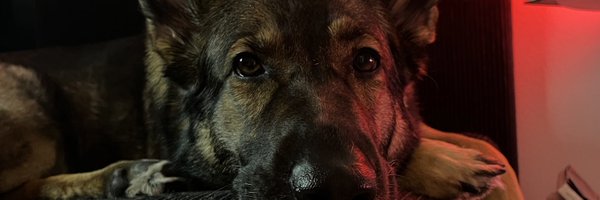 jserkosalmi Profile Banner