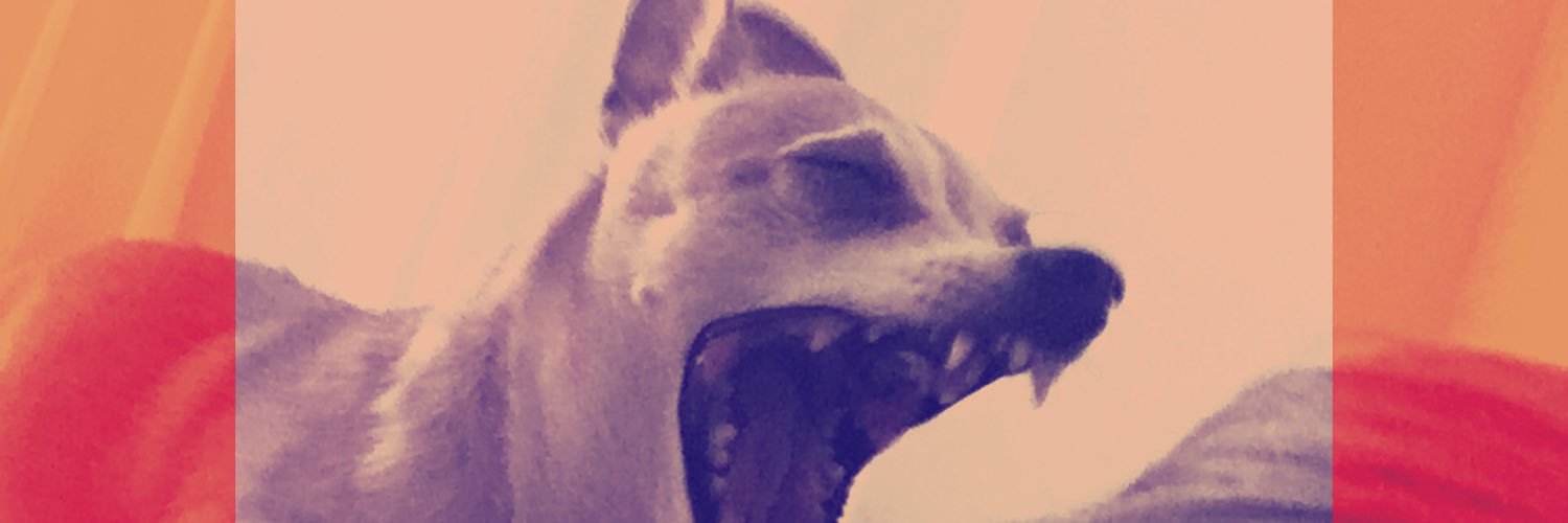 t_estefan's profile banner image