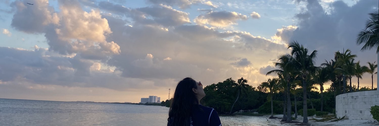 Silsctm's profile banner image