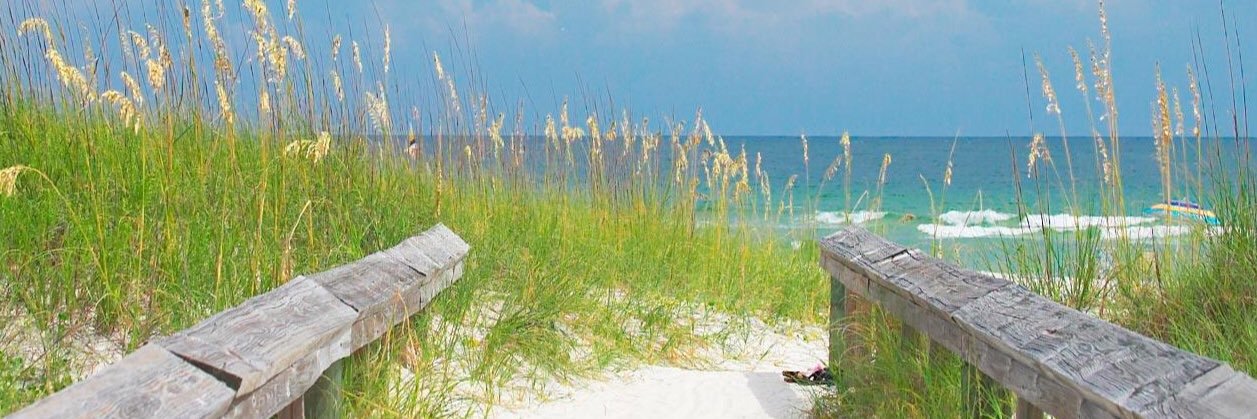 WeigandAmy's profile banner image