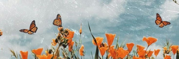 Paykenzie's profile banner image