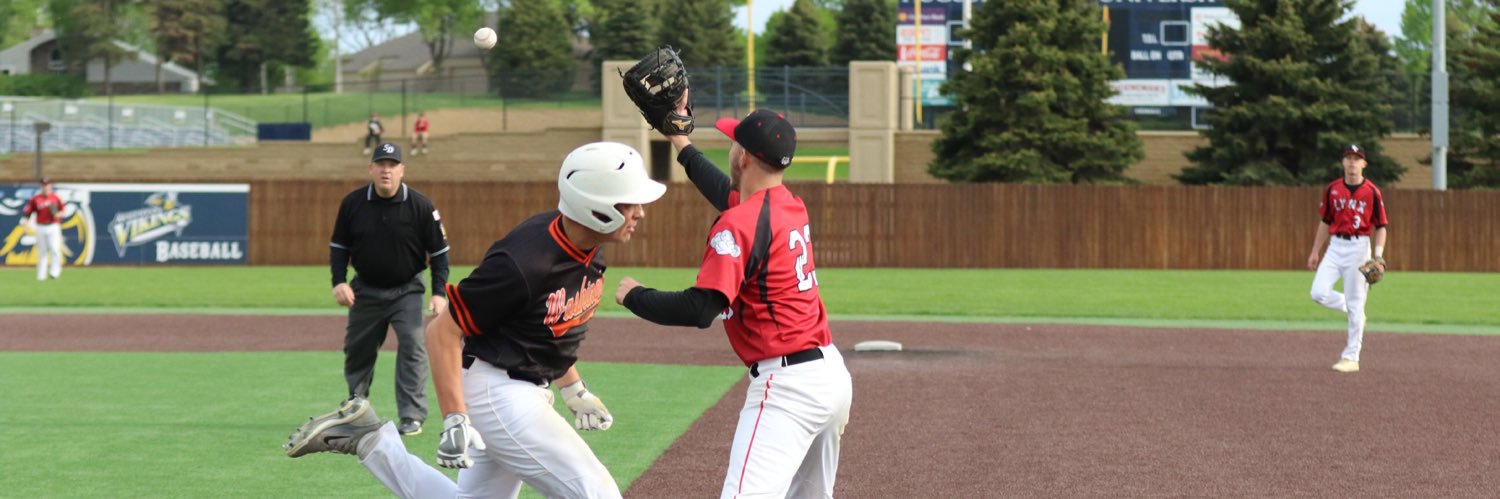 Washington Baseball banner