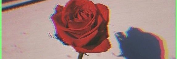 cass___y's profile banner image