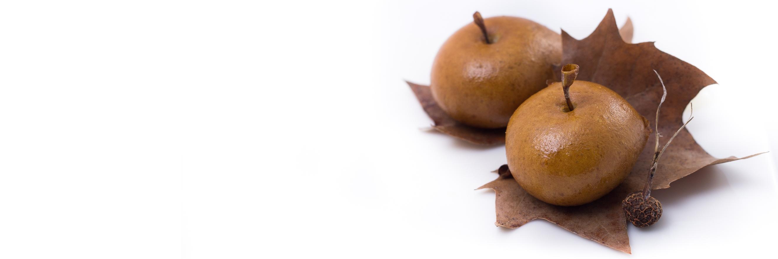 Restaurante Rodero banner