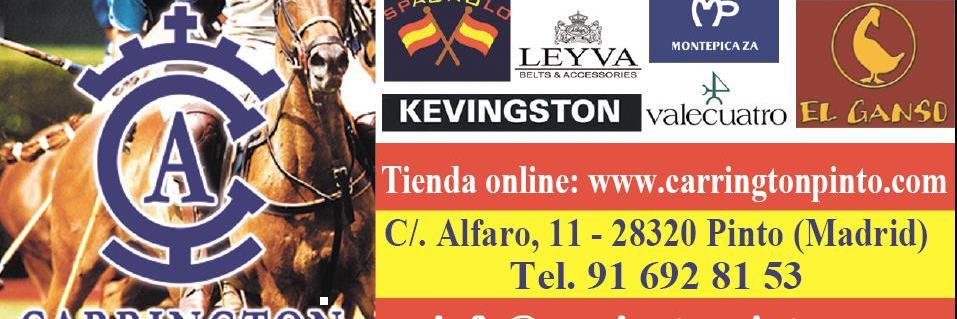 elganso_pinto's profile banner image