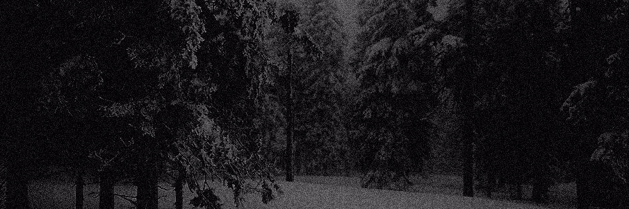 dabhdude's profile banner image