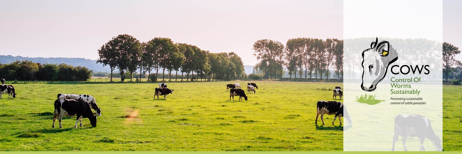 Cattle Parasites's banner