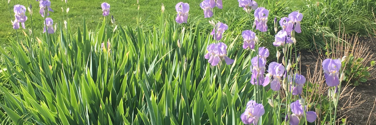 ElizRobzen's profile banner image