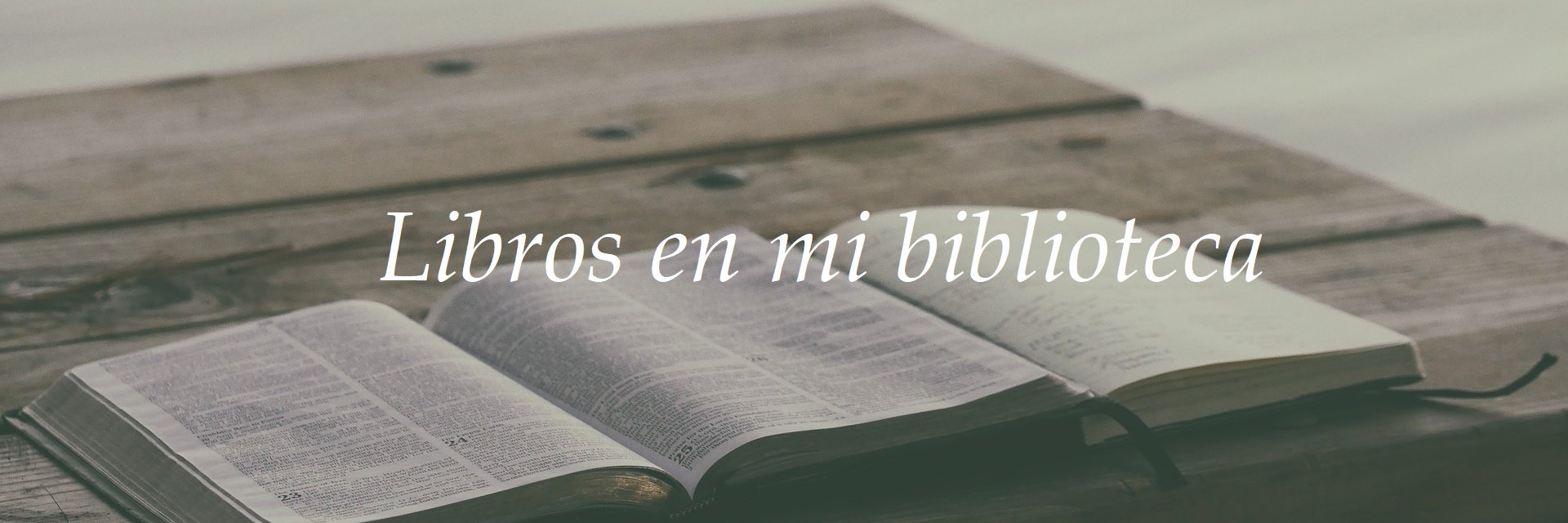 Carmen 카르멘 banner