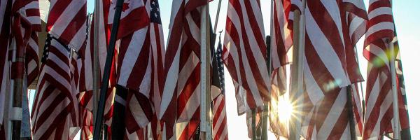 F3_250 Profile Banner