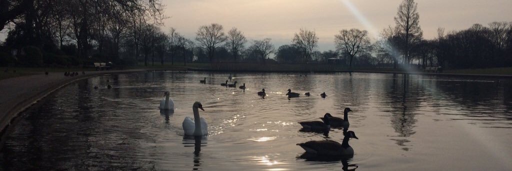 Widnes parkrun banner