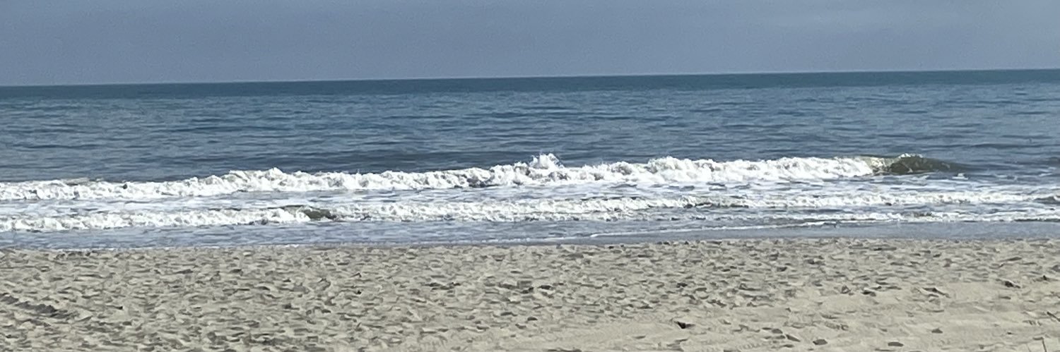 kayswid03's profile banner image