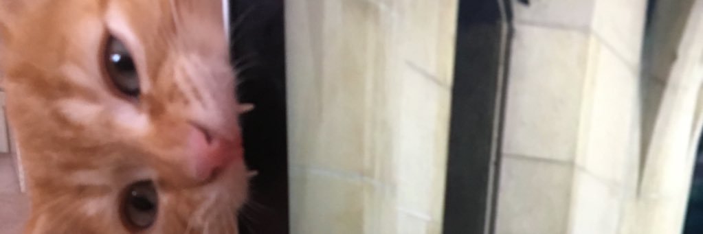 _wintersmith_'s profile banner image